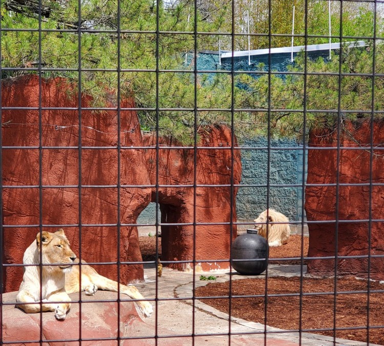 capron-park-zoo-photo